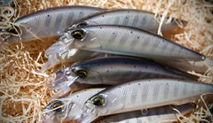 Custom Painted 100SP Floating Jerk Bait